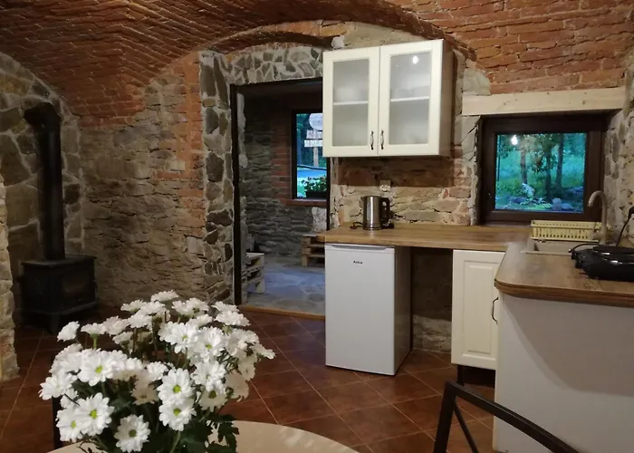 公寓 Niezapominajka 克莱诺