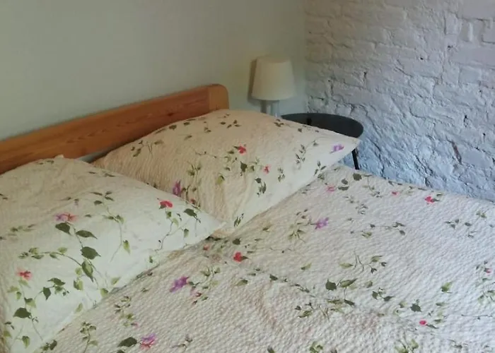 Niezapominajka 克莱诺